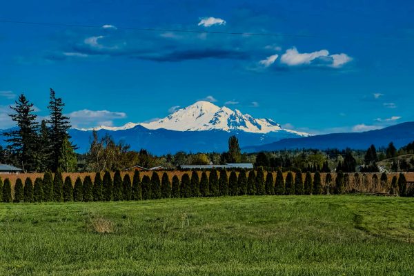 6ebbdf1c-8c3a-4e59-80d8-cc10db662231